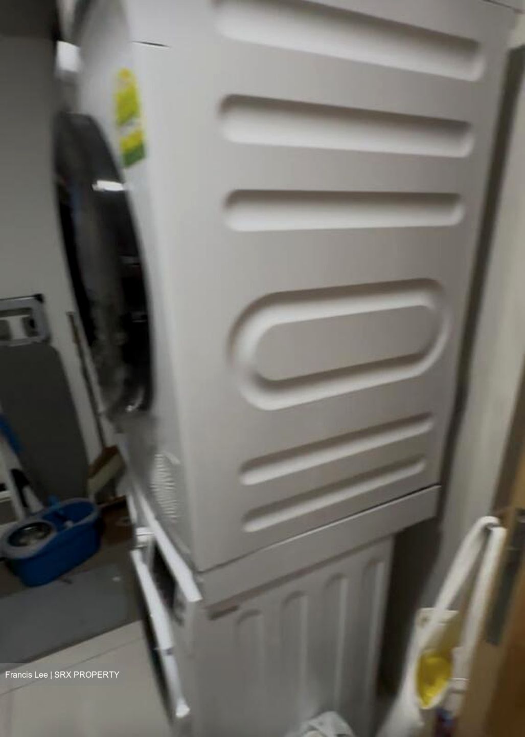 The Lakefront Residences (D22), Condominium #504633591